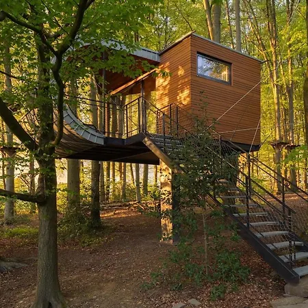 Loop - K1 Treehouses *