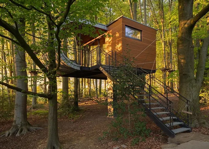 Loop - K1 Treehouses *